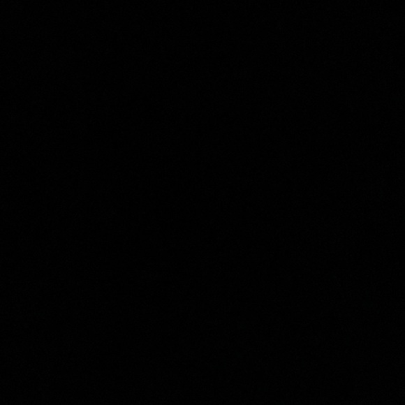 Meet your Posher, Connor - Picture 1 of 1